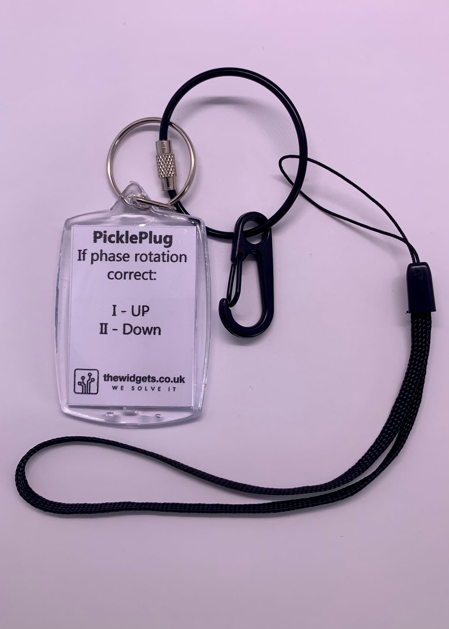 PicklePlug Keyring